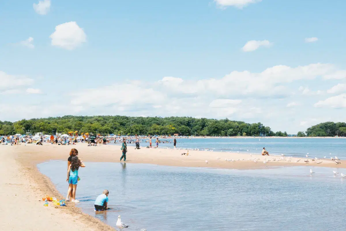 Orchard Beach