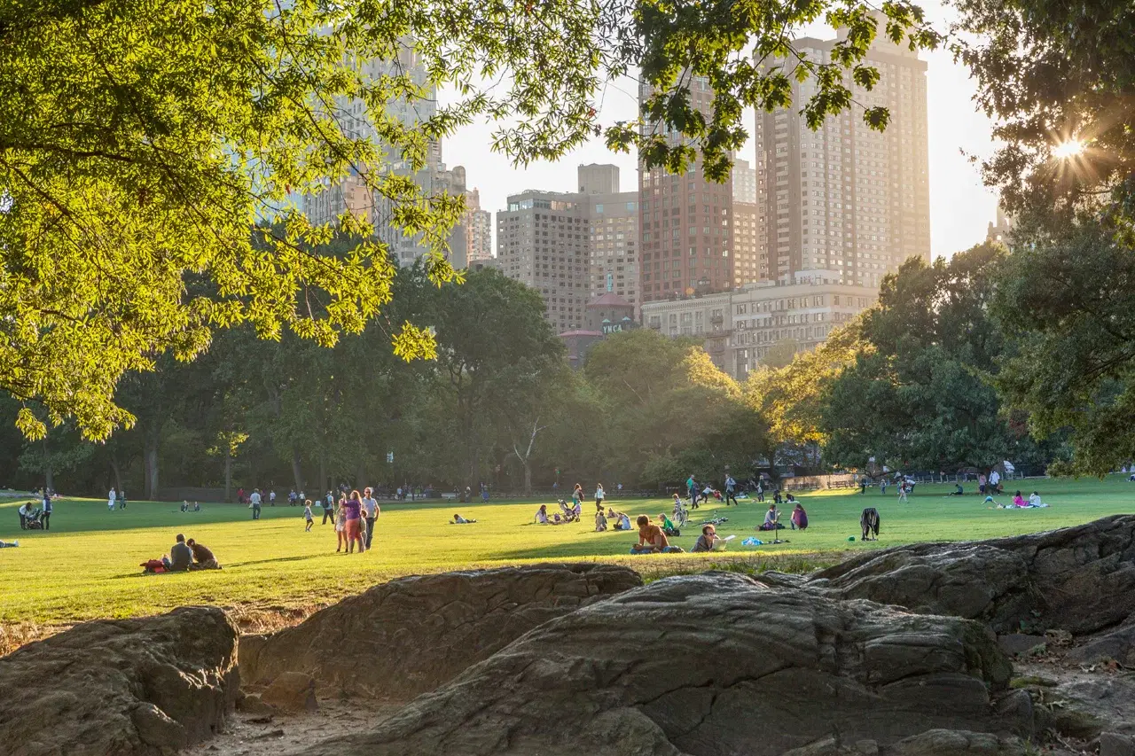 Central Park at sunset