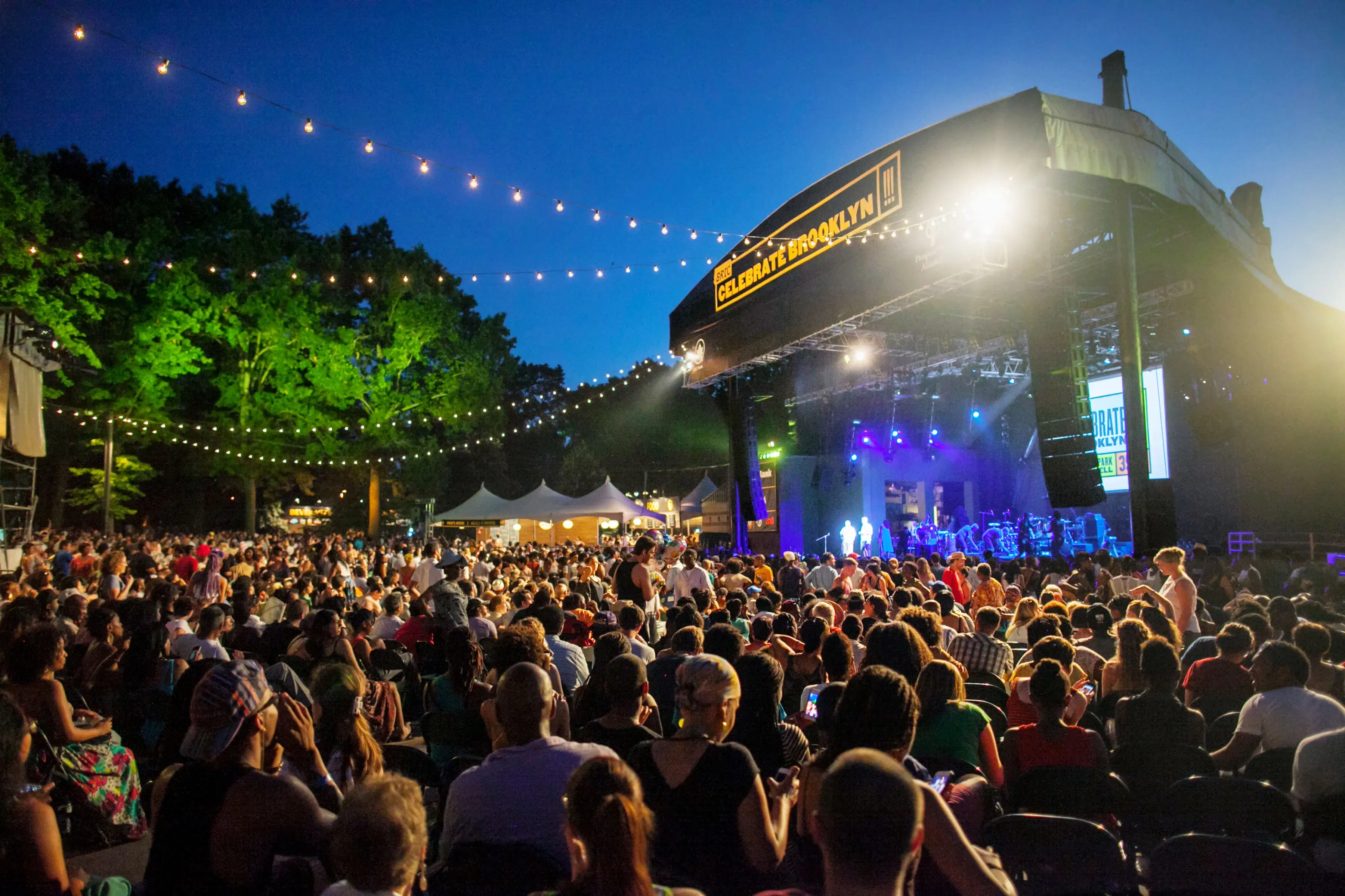 The crowd at Celebrate Brooklyn 