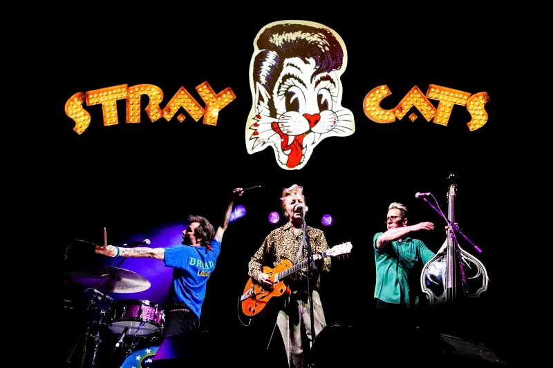 Stray Cats performing on stage