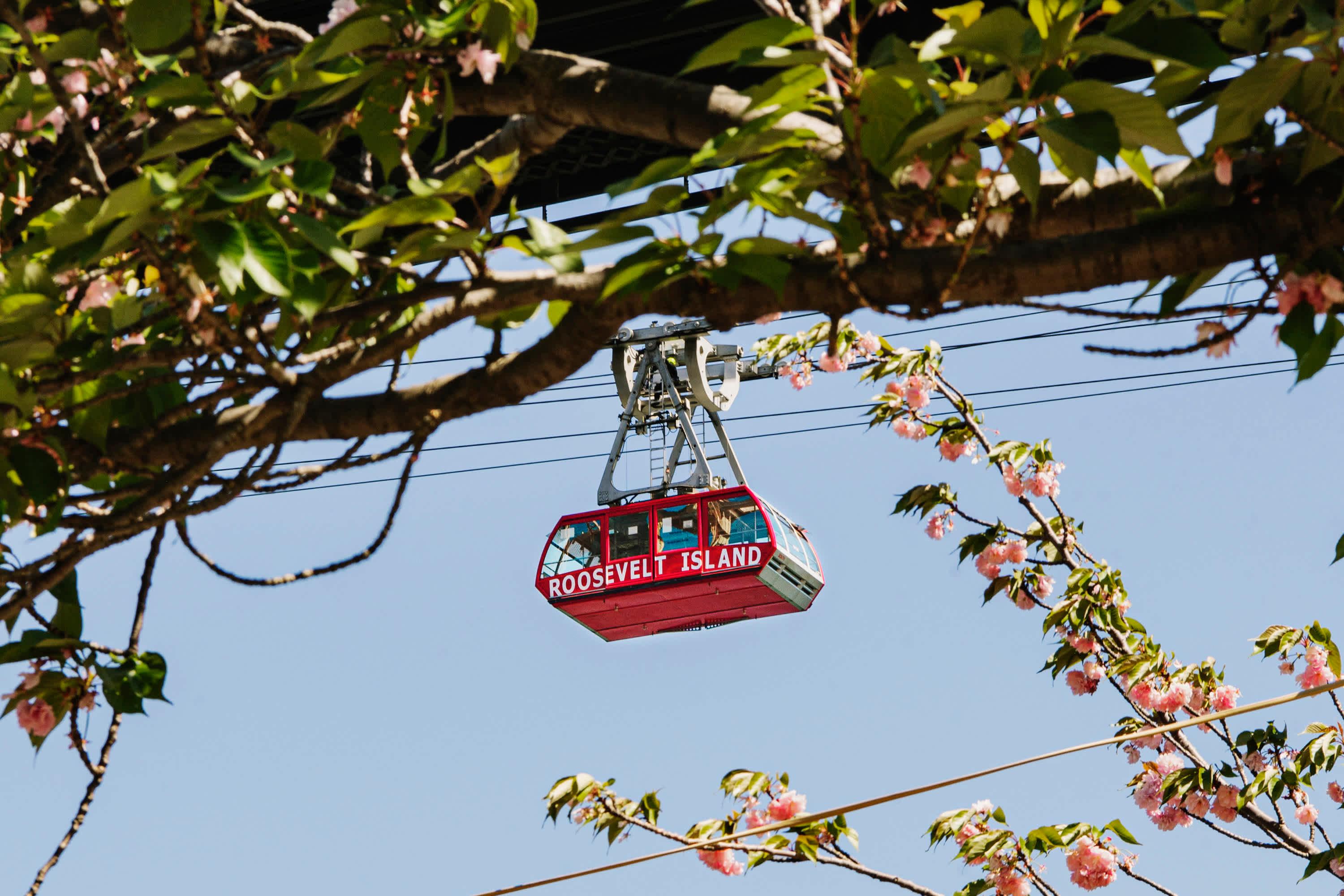 Roosevelt Island Tram on Roosevelt Island against some Cherry Blossoms