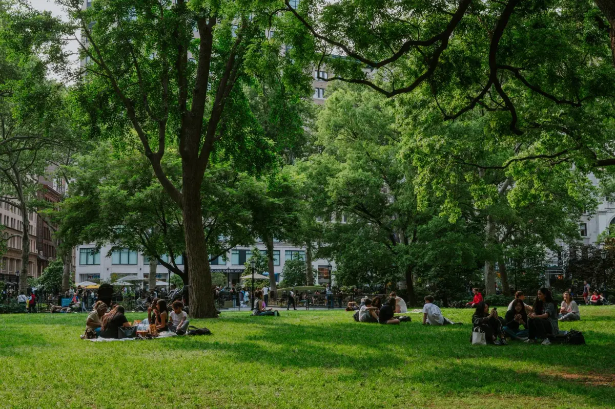 People enjoying a summer afternoon in the park