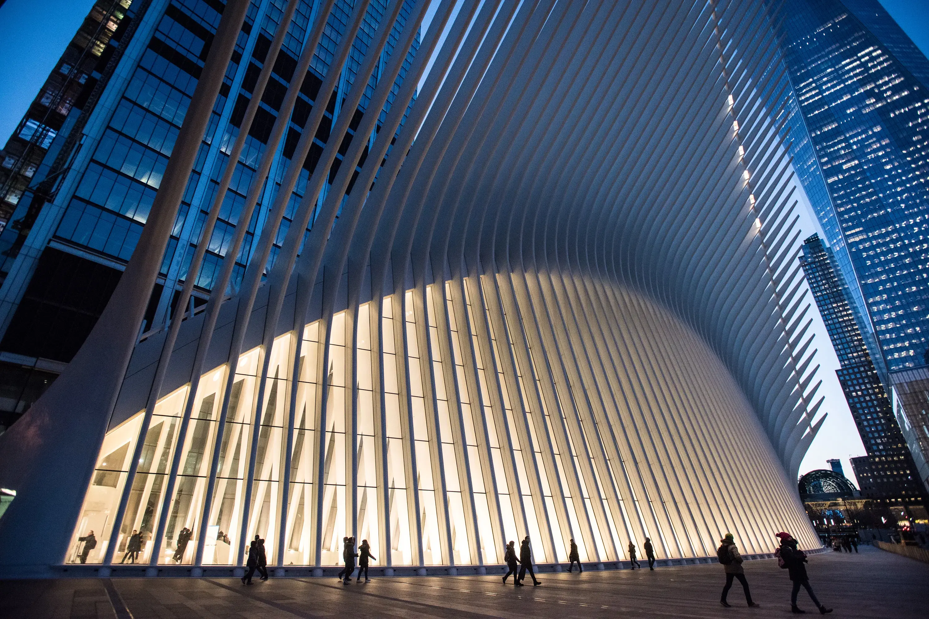 The Oculus