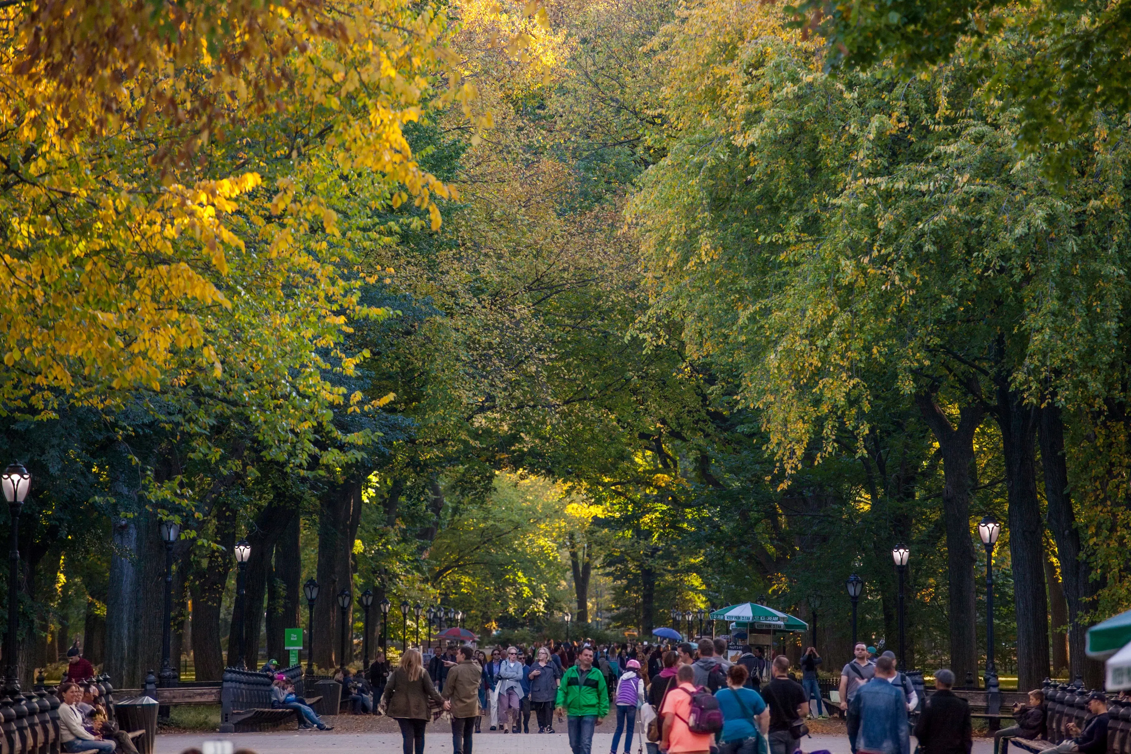 Central Park Autumn Walk