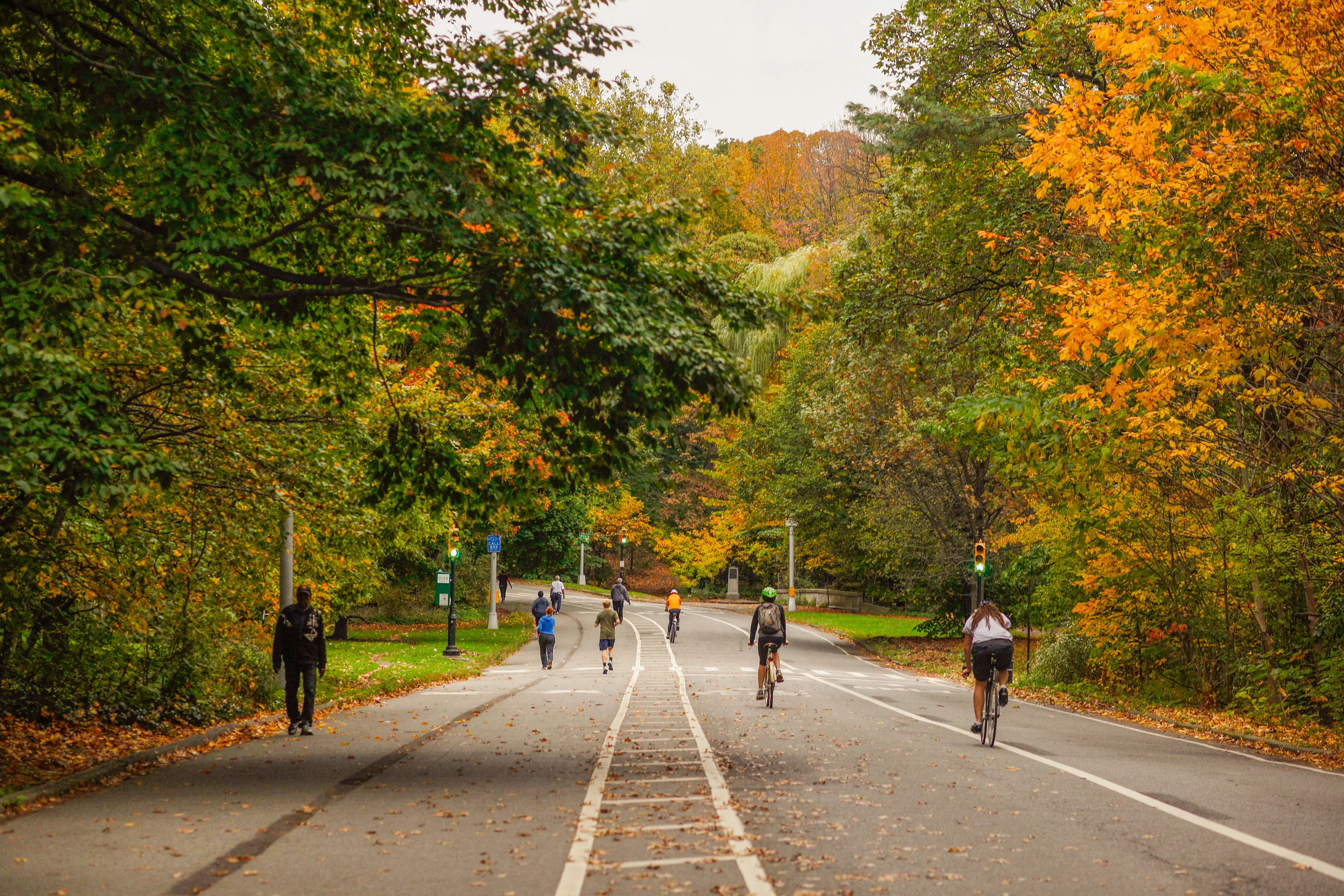 Prospect Park in the fall 