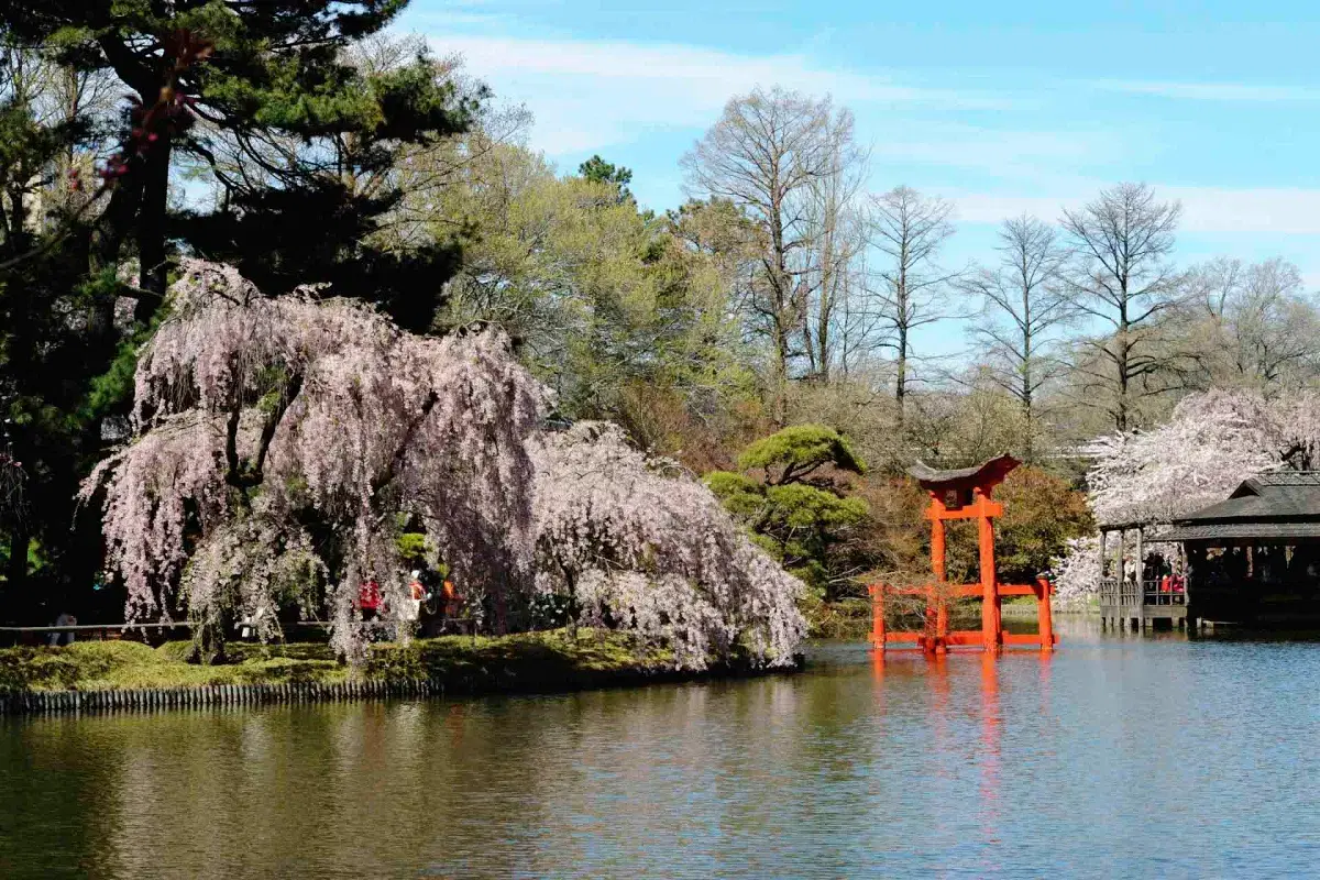 Brooklyn Botanic Garden