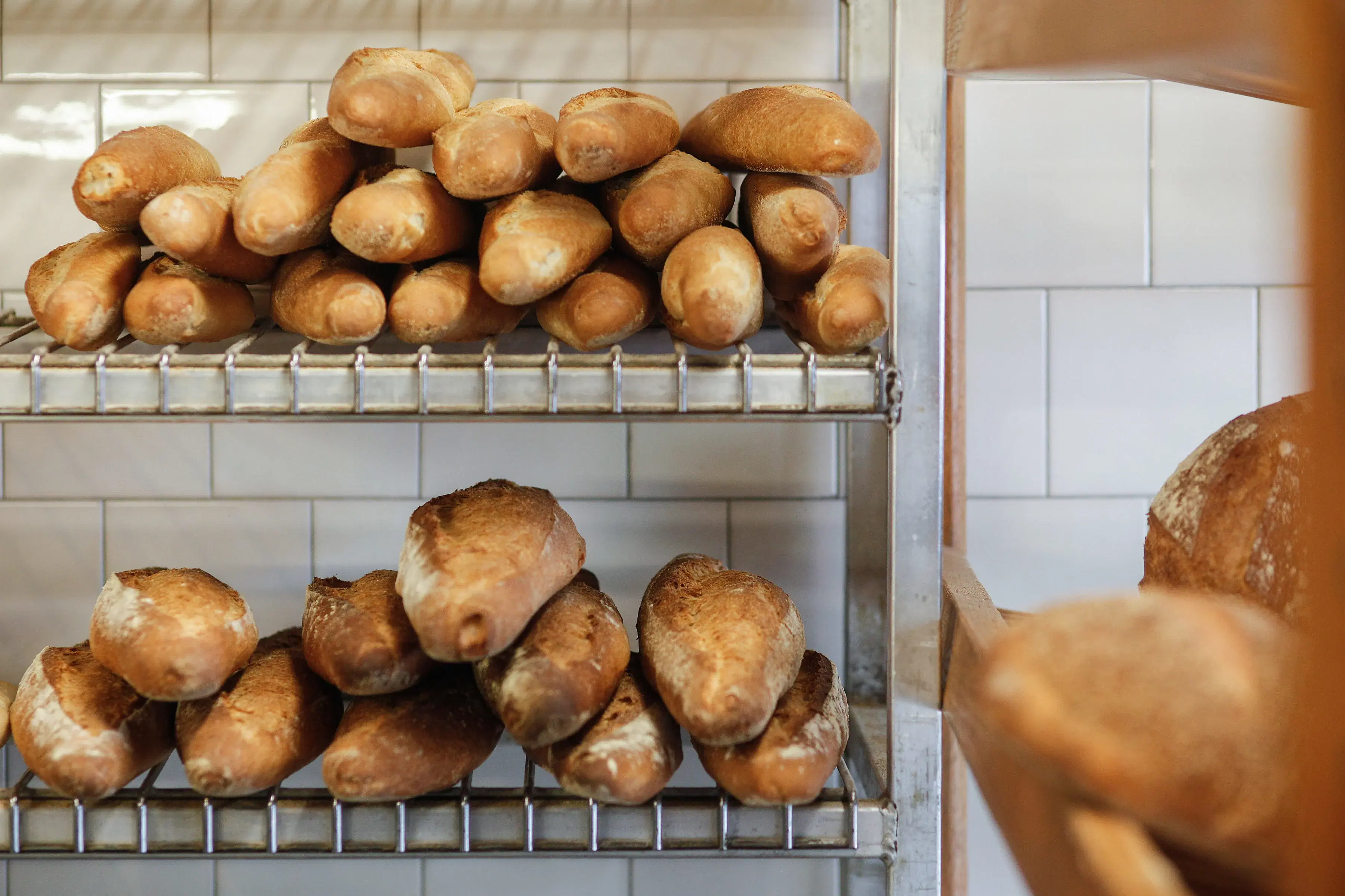 Madonia Bakery in the Bronx 