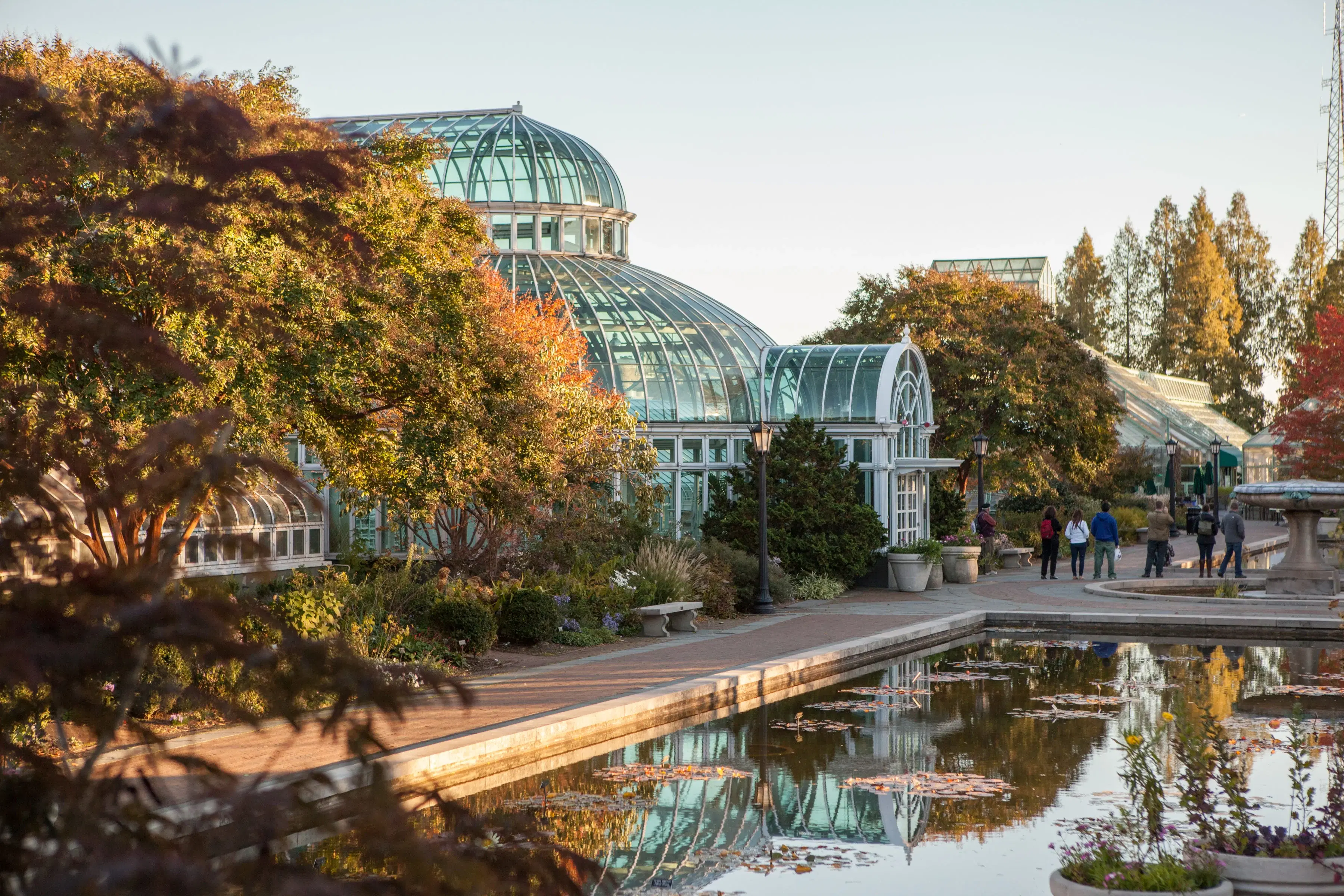 Brooklyn Botanic Garden in the fall 