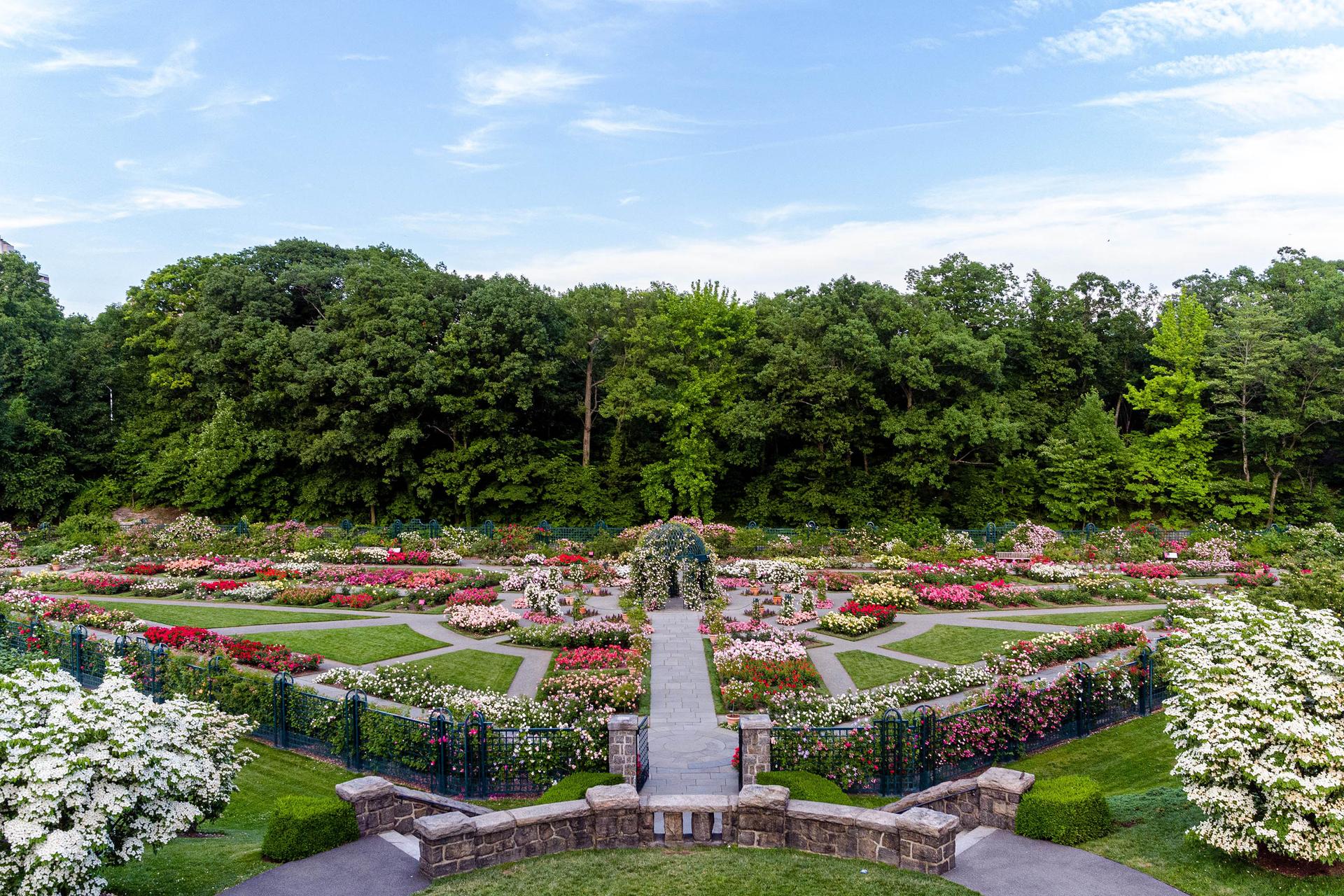 Peggy Rockefeller Rose Garden
