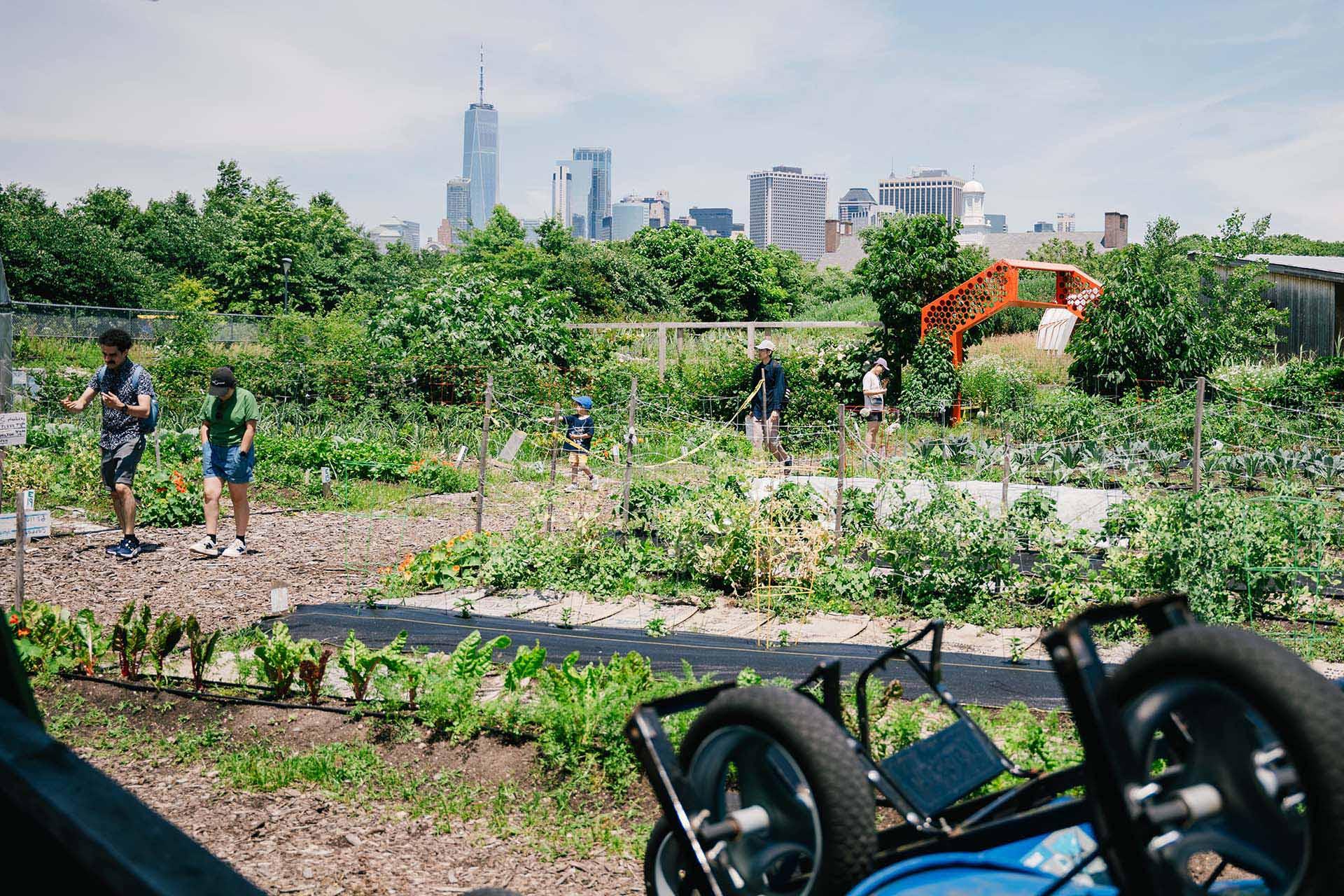 People walk at the urban farm on Governors Island, with views of Manhattan in the background